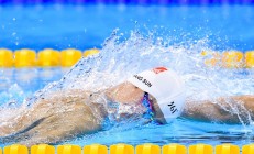 米兰体育官网-森林狼末节带走开拓者，福克斯爆发背后的战术博弈