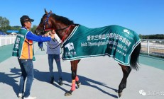 ac米兰-芬兰运动员刷新纪录，斩获桂冠的简单介绍