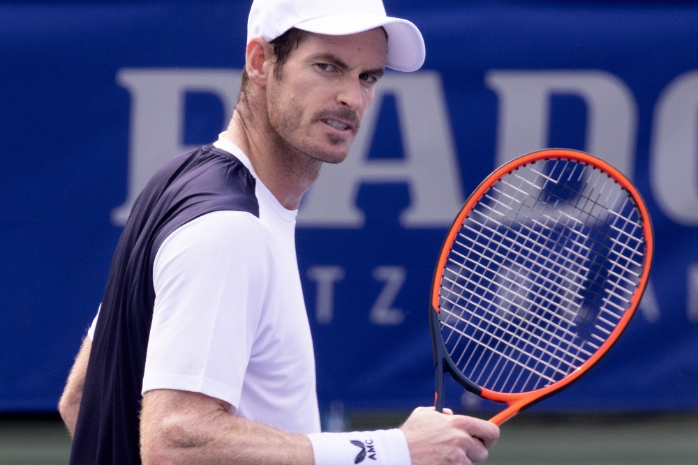 德国网球队力克意大利网球队，穆雷高光表现的简单介绍