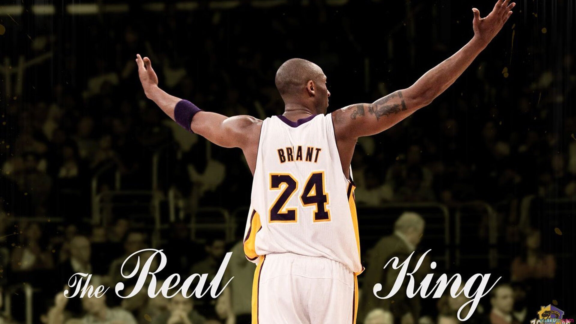 当张继科扛起全队，日本队力克德国背后的唯一性启示