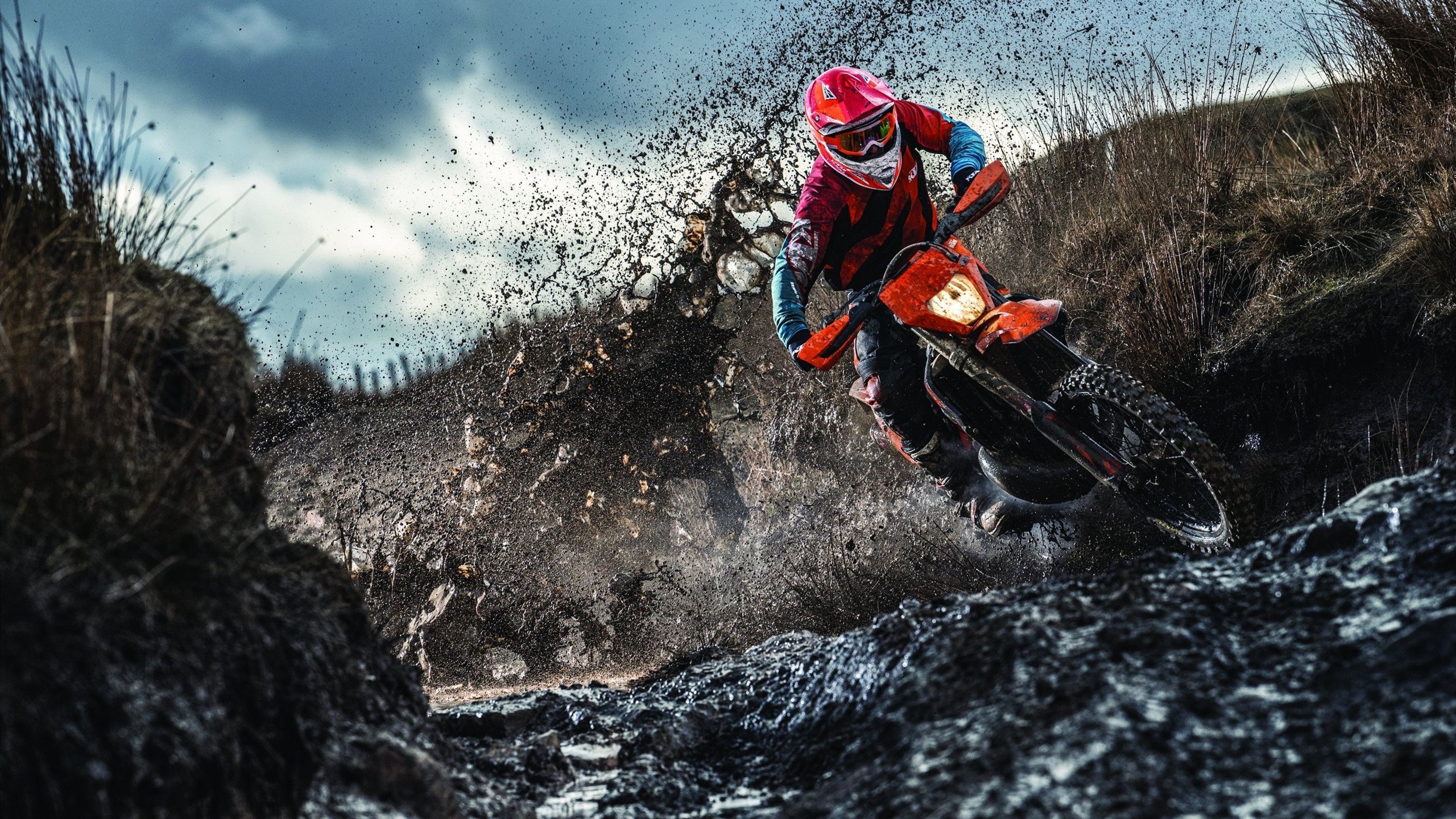 银箭折翼，绿魔狂舞，阿隆索驾驭阿斯顿马丁上演史诗级逆转，统治全场